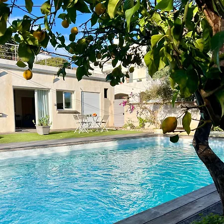 公寓 L'arancetu Vue Avec Piscine